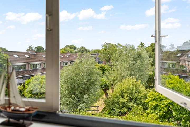 Foto 35 van Bosbes 101