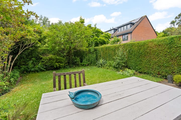 Foto 36 van Bosbes 101