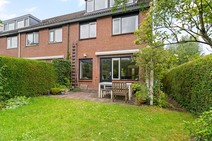 Foto 37 van Bosbes 101