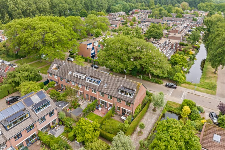 Foto 40 van Bosbes 101