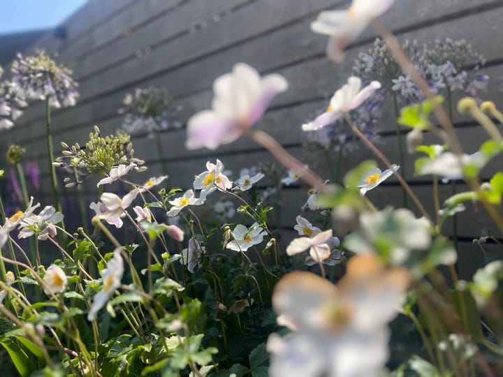 Foto 21 van Ligtelijnweg 16