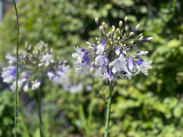 Foto 24 van Ligtelijnweg 16