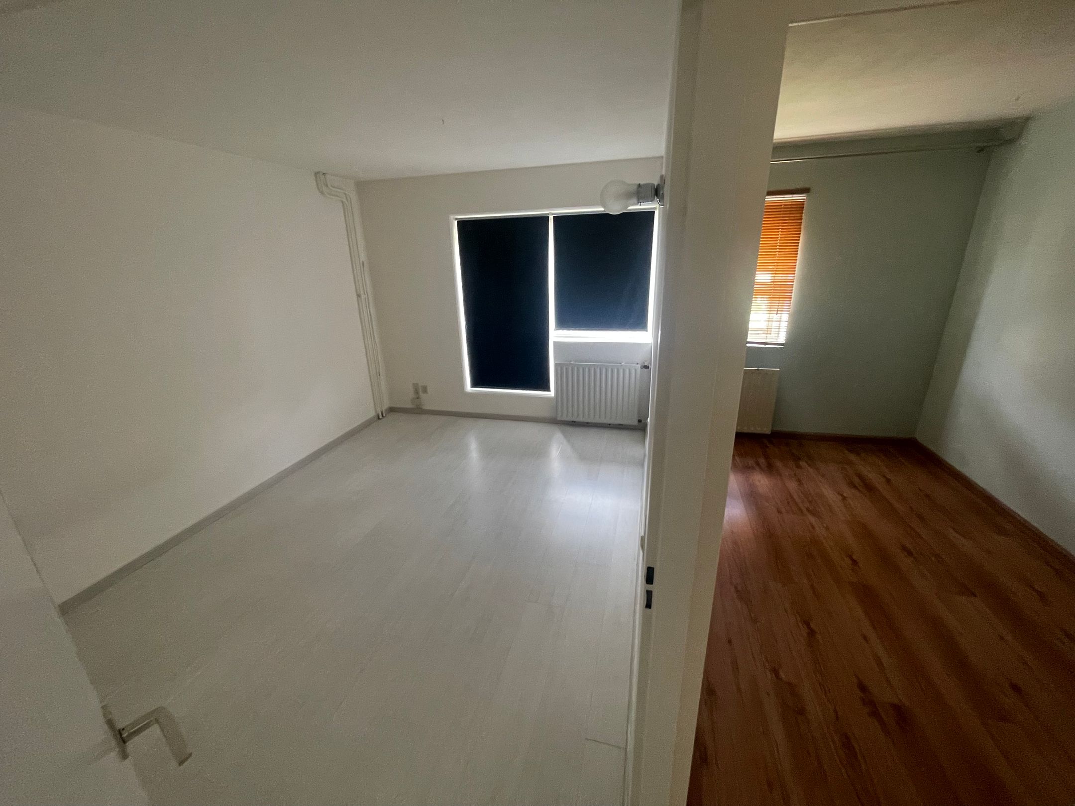 Foto 12 van Karveel 59 4