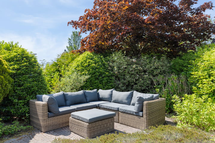 Foto 42 van De Watersnip 24