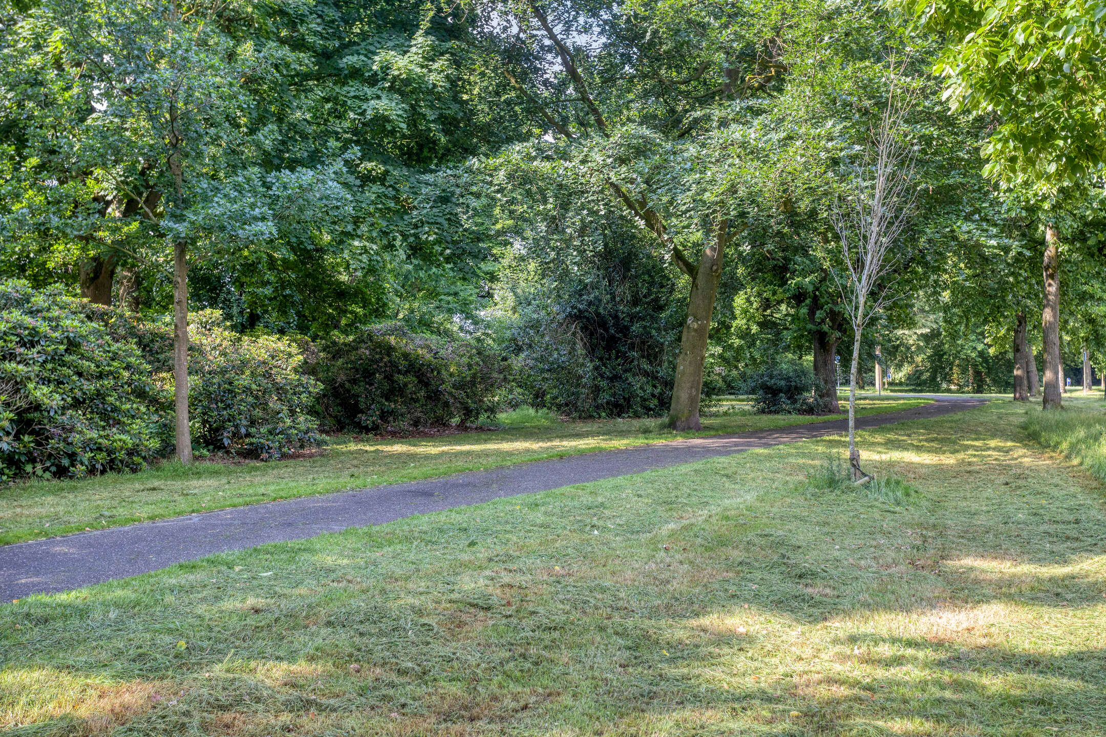 Photo 21 of Aartshertogenlaan 267