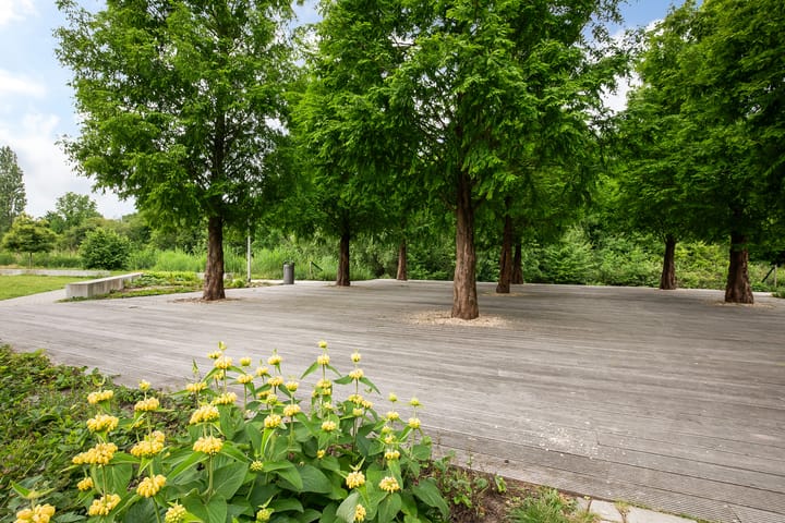 Foto 39 van Jan Tooropstraat 135