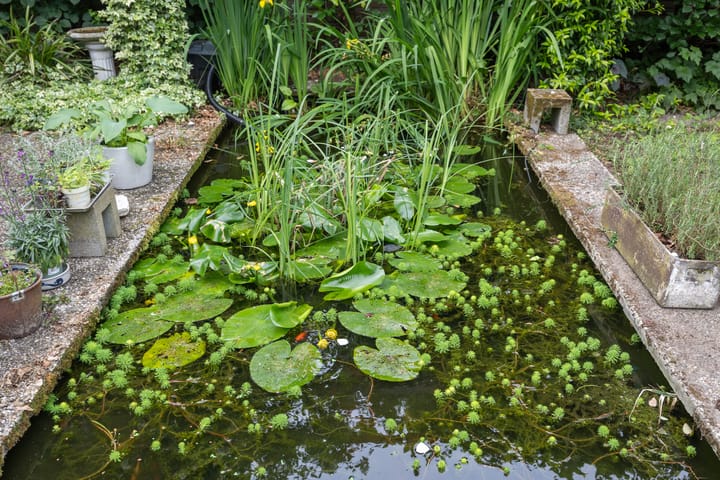 Foto 35 van Willem Sparkweg 5