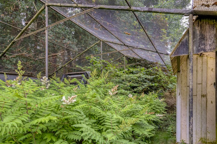 Foto 23 van Westelbeersedijk 61