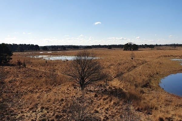 Foto 24 van Westelbeersedijk 61