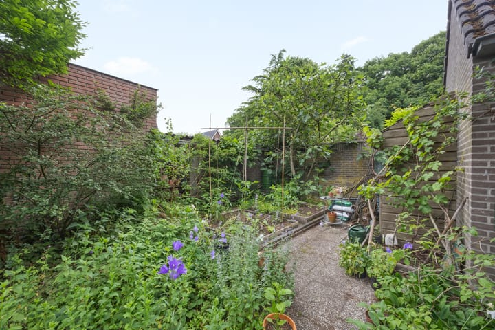 Foto 41 van Willem Sparkweg 5