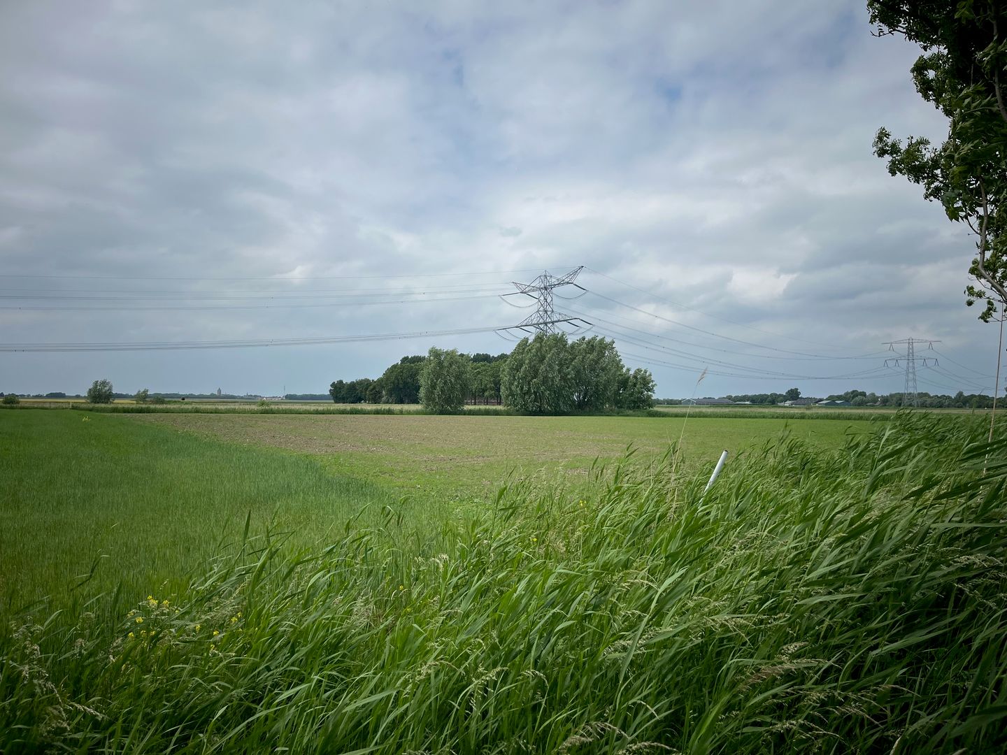 Bekijk foto 2 van Sint-Ignatiusdijk