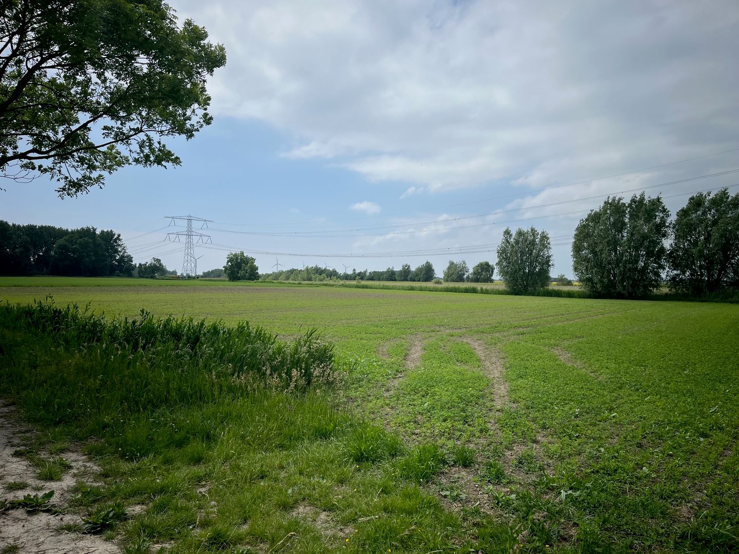 Bekijk foto 1 van Sint-Ignatiusdijk