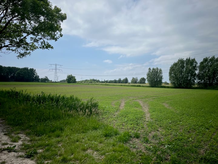 Sint-Ignatiusdijk, Halsteren