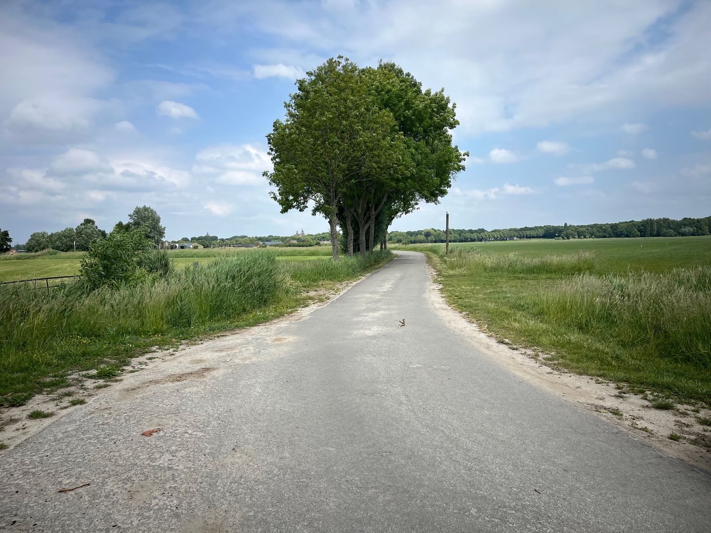Bekijk foto 5 van Sint-Ignatiusdijk