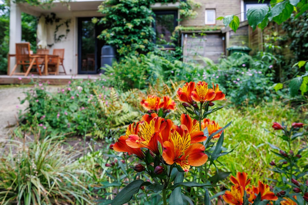 Foto 31 van Bankastraat 4