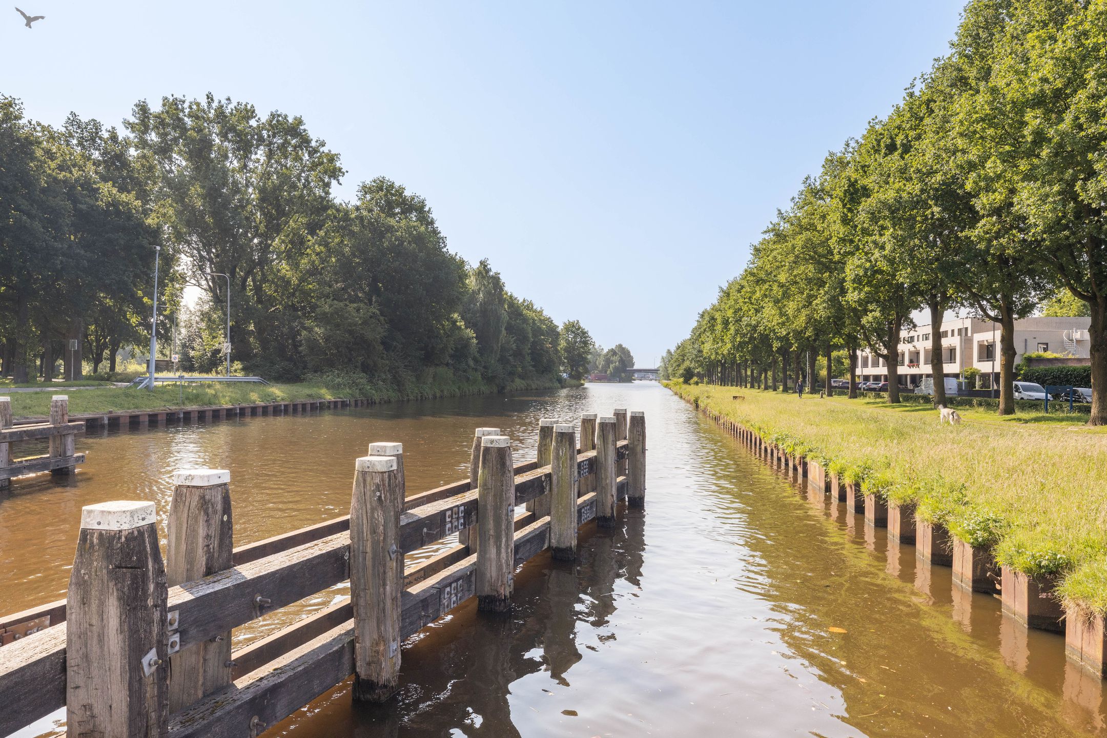 Foto 60 van Melis Stokestraat 12