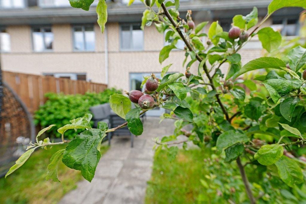 Foto 30 van Zilverschoonlaan 66