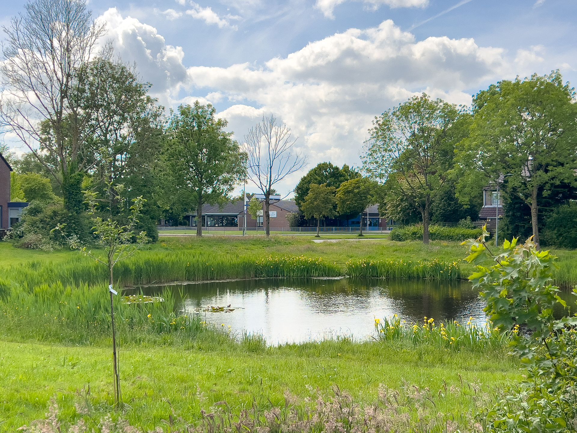 Foto 36 van Dreslanden 31