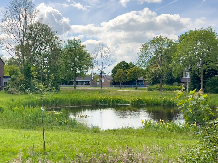 Foto 36 van Dreslanden 31