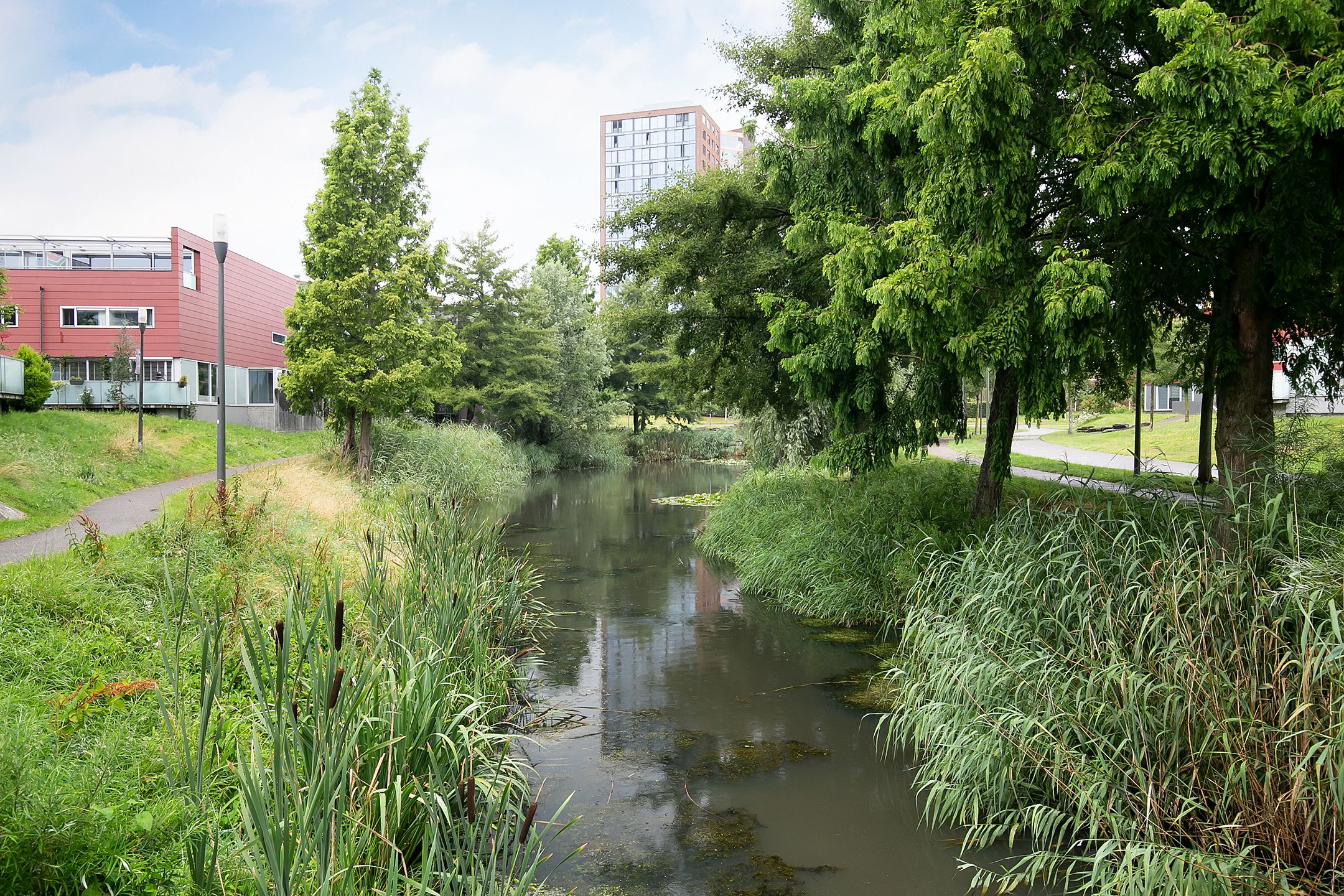 Foto 33 van Karper 56