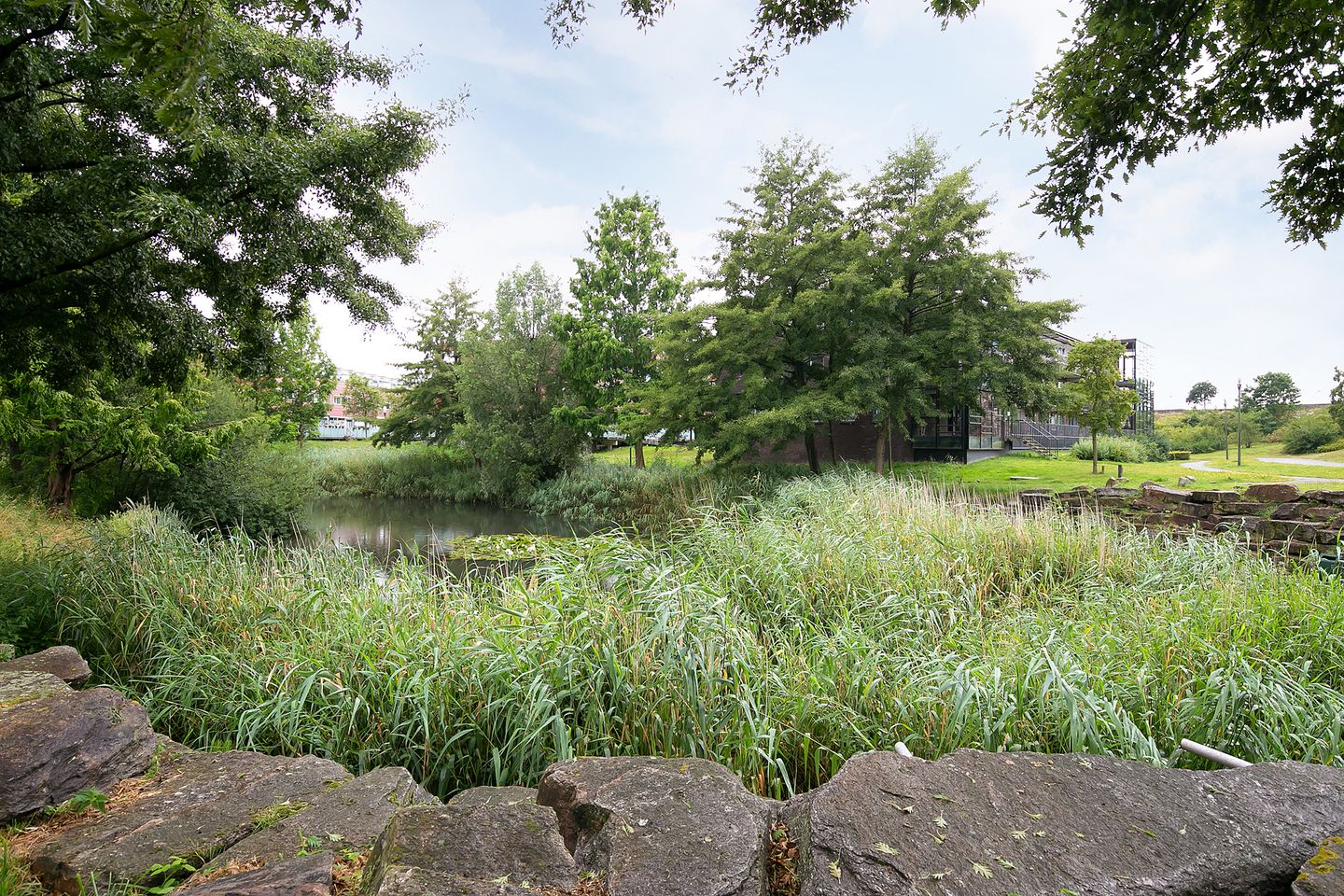 Foto 34 van Karper 56