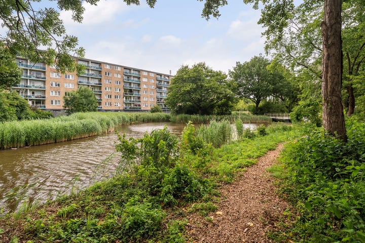 Foto 33 van Plutostraat 252