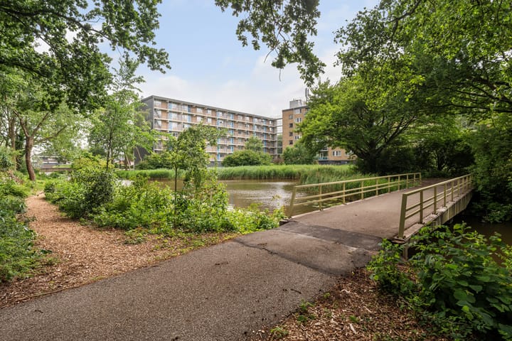 Foto 35 van Plutostraat 252