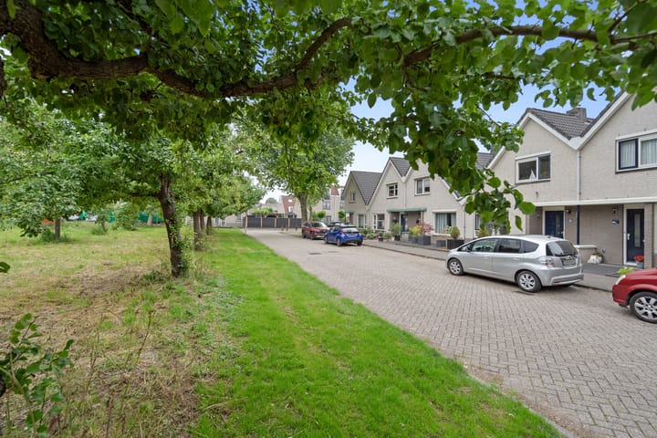 Foto 3 van Schonauwen 43