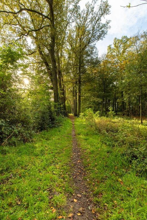 Foto 66 van Rijksstraatweg 28