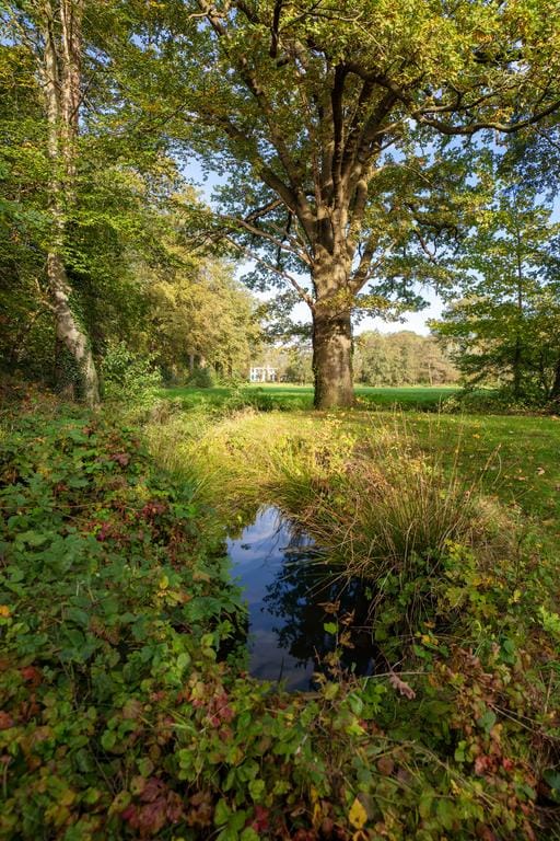 Foto 69 van Rijksstraatweg 28