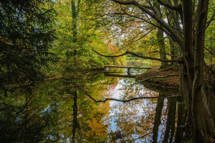 Foto 72 van Rijksstraatweg 28