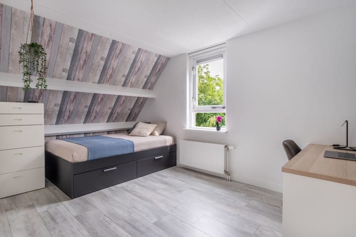 Foto 31 van Joop Schweitzerstrjitte 1