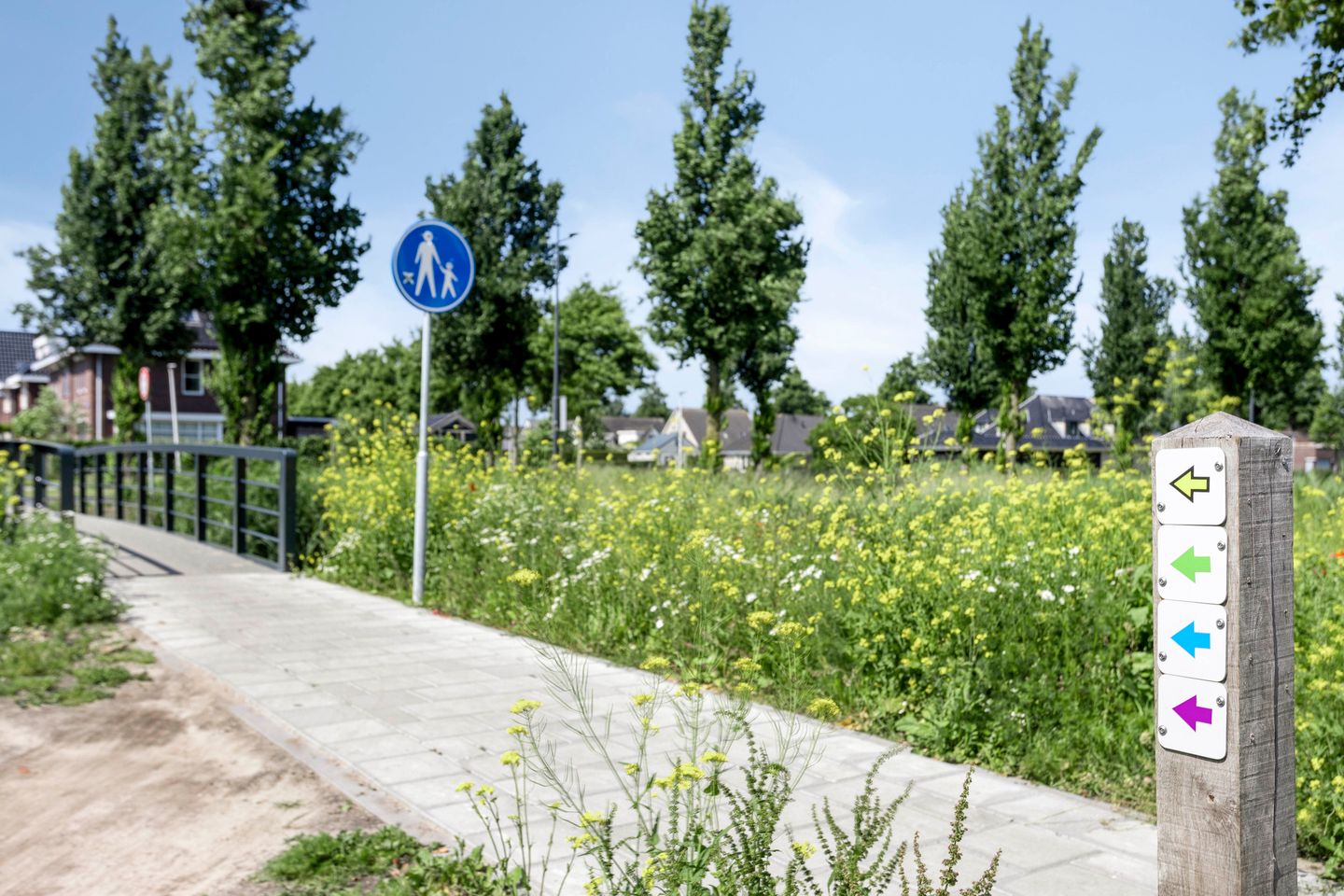 Foto 50 van Willem Hendrik Zwartallee 77