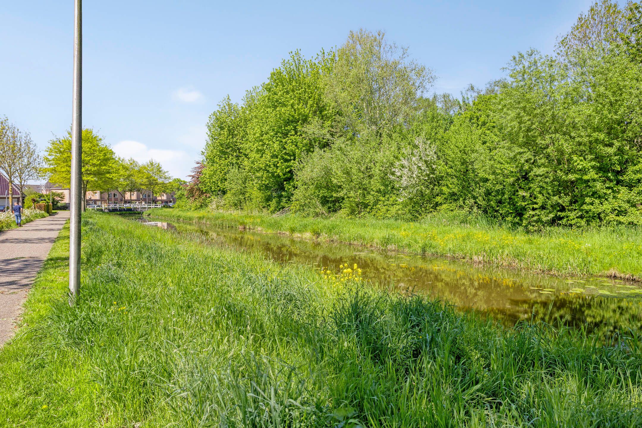 Foto 51 van Willem Hendrik Zwartallee 77