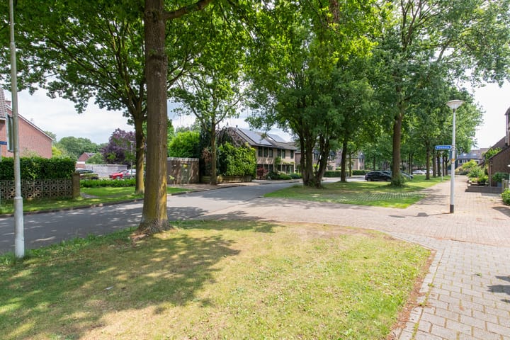 Foto 9 van Wolborgenmate 108