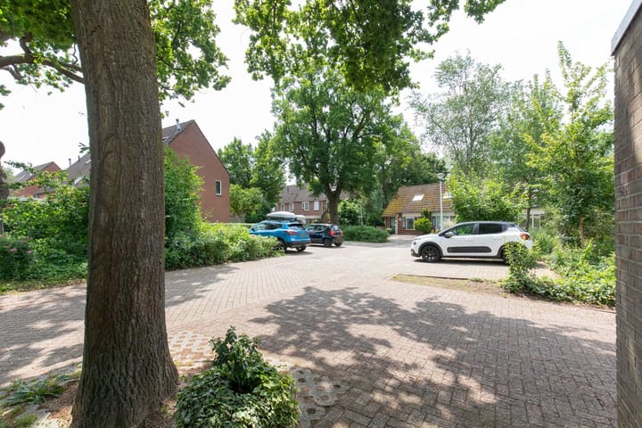 Foto 10 van Wolborgenmate 108