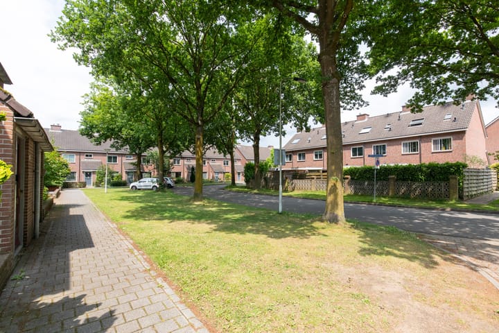 Foto 8 van Wolborgenmate 108