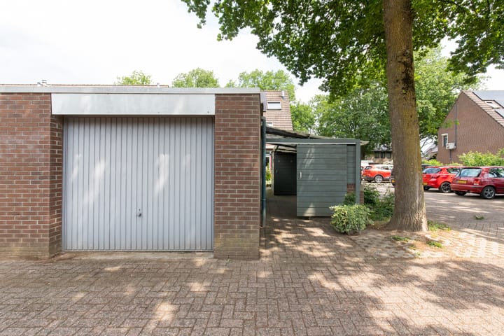 Foto 11 van Wolborgenmate 108