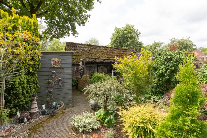 Foto 26 van Wolborgenmate 108