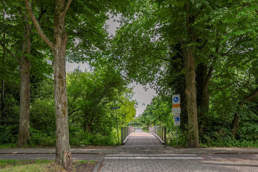 Foto 23 van Linnaeusparkweg 62-2