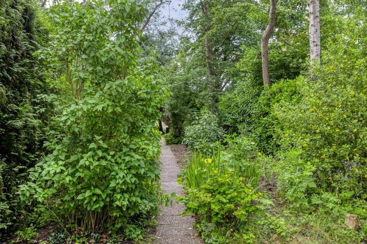 Foto 36 van Provincialeweg 25