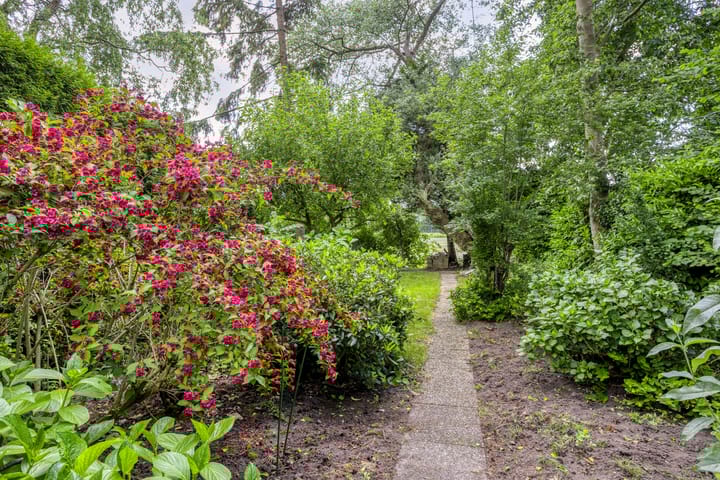 Foto 37 van Provincialeweg 25