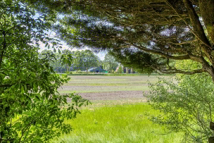 Foto 38 van Provincialeweg 25