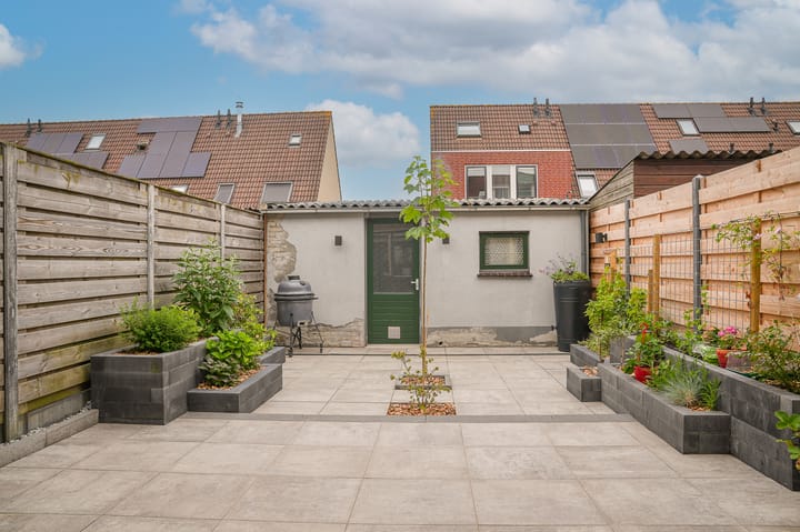 Foto 24 van Zonnedauw 46