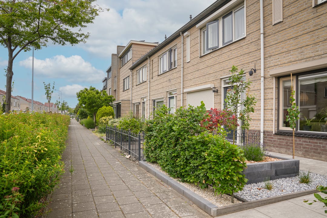 Foto 28 van Zonnedauw 46