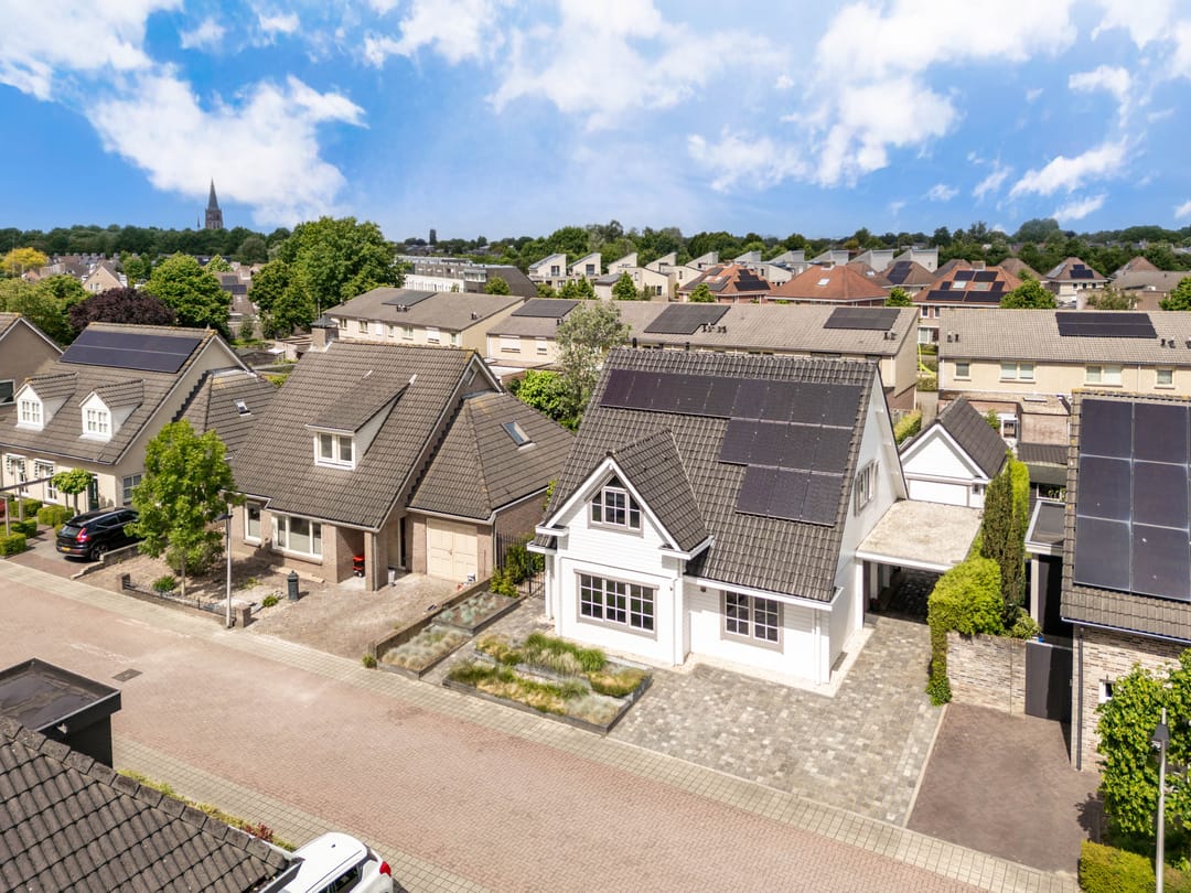 Foto 1 van Zaaiviool 11