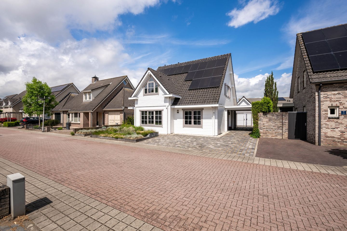 Foto 5 van Zaaiviool 11