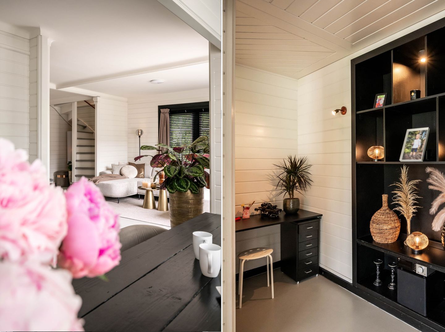 Foto 14 van Zaaiviool 11