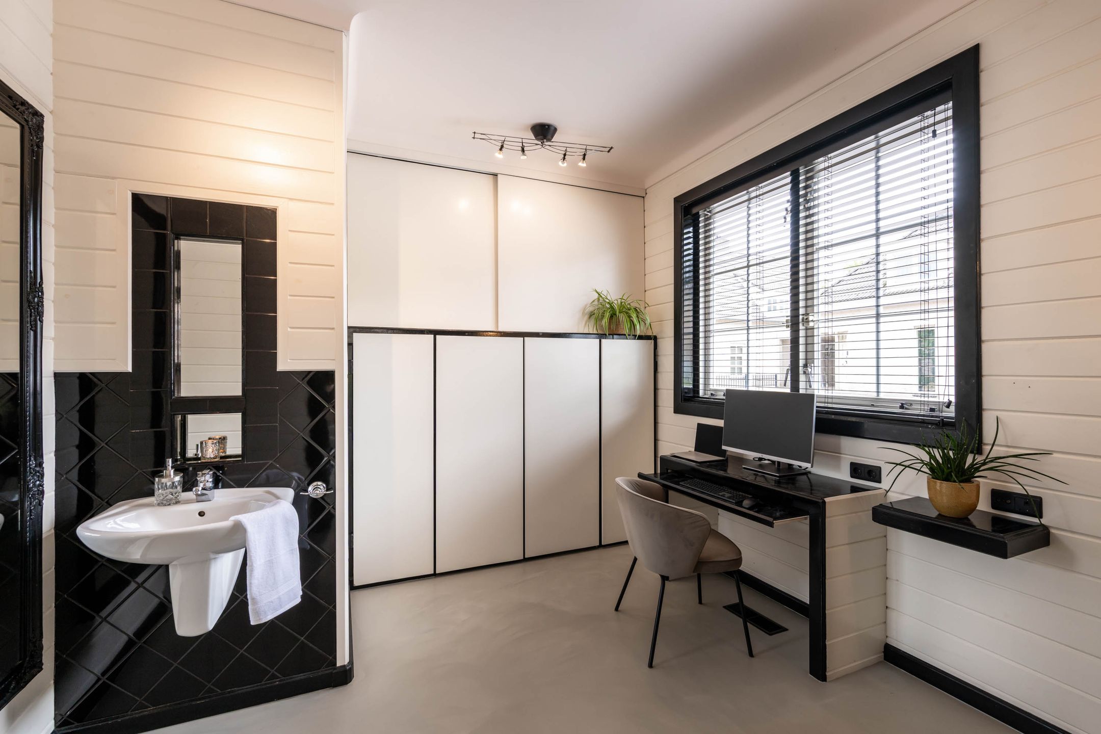 Foto 15 van Zaaiviool 11