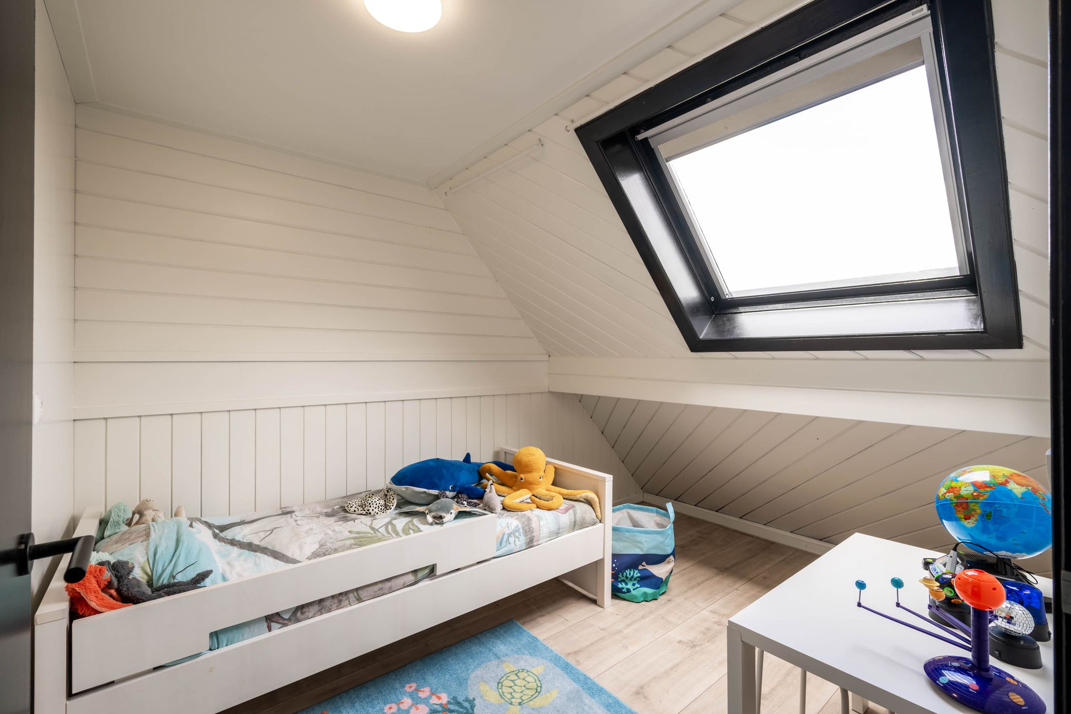 Foto 24 van Zaaiviool 11